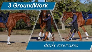 The three quick groundwork exercises WILL relax and focus your horse!