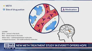 Everett ER patients join study for new meth treatment drug that offers hope for combating addiction