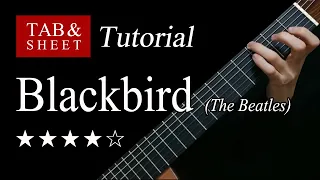 Blackbird (The Beatles) - Fingerstyle Lesson + TAB