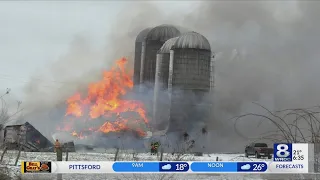 More than 200 cows killed in barn fire in Oneida County