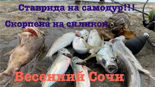 Ставка на ставриду, микроджик в Сочи. Рыбалка на море #fishing #sochi #рыбалка #сочи #микроджиг