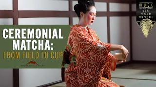 Ceremonial Matcha: From Field to Cup
