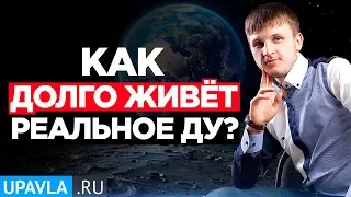 От чего зависит срок жизни компании доверительного управления? Можно ли за это время заработать?