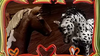 Schleich music video-Stiches