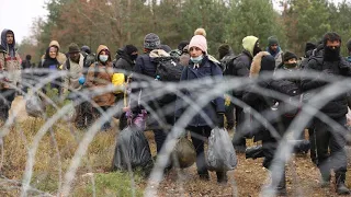 Humanitäre Krise in Belarus: Polen befürchtet Grenzdurchbruch durch Migranten