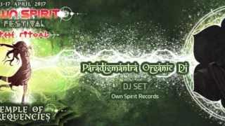 Own Spirit 2017 by Paradigmantra Dj Set