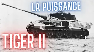 L'ENFER DES TIGRES - #03 LA PUISSANCE DU TIGRE 2