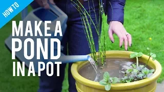 How to make a pond in a pot #garden #ponds