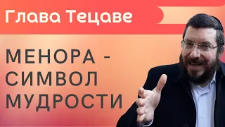 Менора - символ мудрости. Недельная глава Тецаве | Рав Моше Юделевич