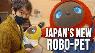 Fall In Love with LOVOT Japan's New Robot Pet - LOVOT Cafe