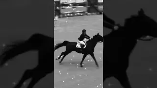 Beezie Madden & Cortez C #shorts #showjumping