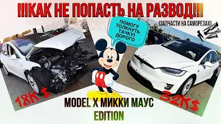 Как НЕ попасть на РАЗВОД при покупке Tesla на Аукционе|Model X Микки Маус Edition | Ev ServiZ