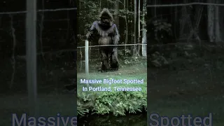 Massive Bigfoot Spotted in Portland