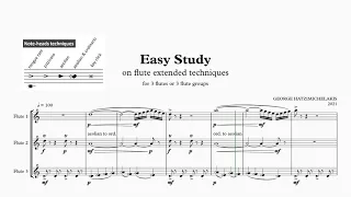 EASY STUDY on flute extended techniques