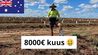 Miks SINA juba Austraalias pole?