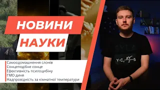 Надпровідність за кімнатної температури, ефективність псилоцибіну, ГМО диня | Новини науки