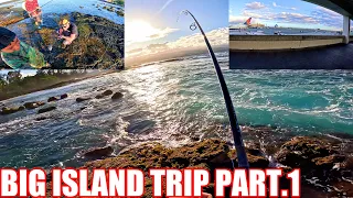 |ISLAND HOPING WITH BRADDA ROY @RoyceGetit | WHIPPING HILO BREAKWALL| HAWAII FISHING|
