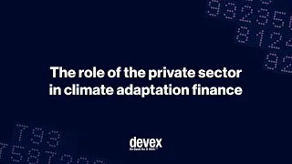 The role of the private sector in climate adaptation finance