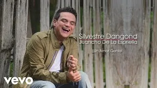 Silvestre Dangond - Un Amor Genial (Cover Audio)