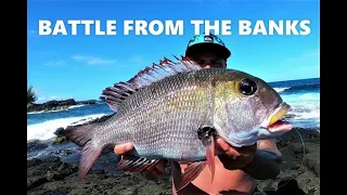 Epic Mu Battle // Big Island Of Hawaii // Fishing Adventures