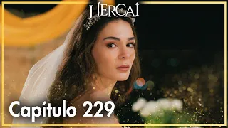 Hercai - Capítulo 229