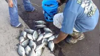 Crappie Fishing Docks 1/22/2012