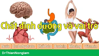 1. Chất dinh dưỡng là gì? Vài trò của các nhóm chất dinh dưỡng | Dinh dưỡng Thực phẩm