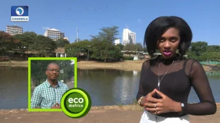 Eco@Africa: How Forests In Cameroon Get The Protection Of Local Activist