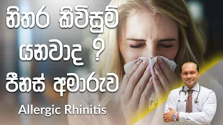 නිතර කිවිසුම් යනවාද ? පීනස් අමාරුව | Allergic Rhinitis