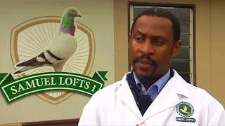 Meet Samuel Mbiza - South Africa's black champion pigeon racer