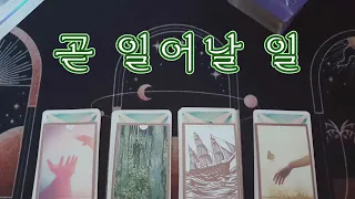 [타로] 조만간 나에게 나타날 일