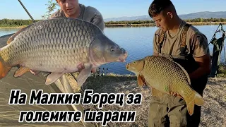 На Малкия Борец за Големите Шарани / Язовир Борец / Carp Fishing