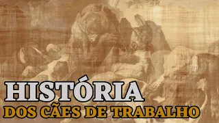 Documentário - A história dos cães de trabalho - BANDOG