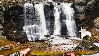 Fishing Massive Waterfalls for HUGE Wild Brown Trout | (We Almost died!) Opening Day of Trout Season