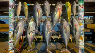 Epic Yellowfin & Mahi Fishing on Oil Rig