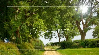 A Day in my Life | Artists Studio | Small Business Owner | Irish Farmhouse | Cottage Garden