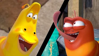 LARVA - HARD TO FIND | Cartoon Movie | Cartoons For Children | Larva Cartoon | LARVA Official