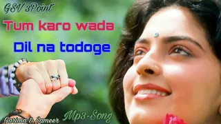 तुम करो वादा दिल न तोड़ोगे | Tum karo wada dil na todoge | Love song | Mp3 song | Hindi song