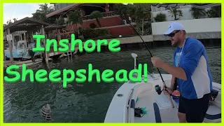 Fishing for Sheepshead Inshore