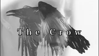 The Crow : Sin Nation Teaser Trailer : Fan Film