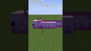 Axolotl VS Zombie Villager 😂 {Minecraft Animation}