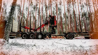 Spruce logs loading. A bit of snow before spring