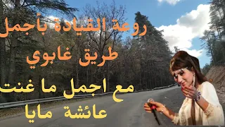 اجمل طريق غابوي مع اجمل اغنية عائشة مايا forest road aicha maya #الغابة #رحلة