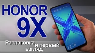 Распаковка и первый взгляд Honor 9X  Топовый смартфон за вкусную цену