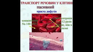 Мембранний транспорт: проста дифузія. Більше інформації дивись на каналі