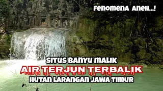 fenomena aneh.! situs banyu malik(air terjun terbalik)hutan larangan jawa timur