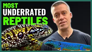 The Most Underrated Reptile Species | Frank Payne