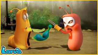 LARVA | FENCING | CARTOON MOVIE FOR LIFE | THE BEST OF CARTOON | HILARIOUS CARTOON COMPILATION