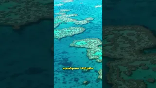 Did You Know That The Great Barrier Reef in Australia is The Largest Living Structure on Earth?