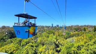 [NEW 2022] Skyfari Aerial Tram Ride At San Diego Zoo